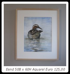 Eend 50B x 60H Aquarel Euro 125,00