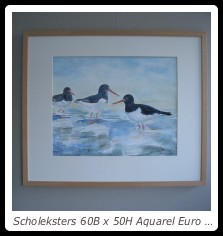 Scholeksters 60B x 50H Aquarel Euro 125,00